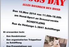 Dogs day